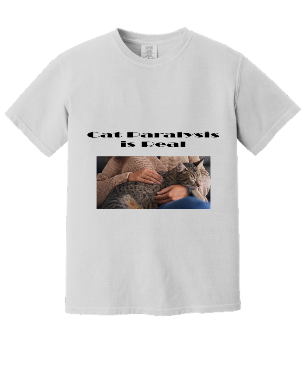 Cat Paralysis Is Real T-Shirt, Gift For A Cat Owner, I Can't Move My Cat