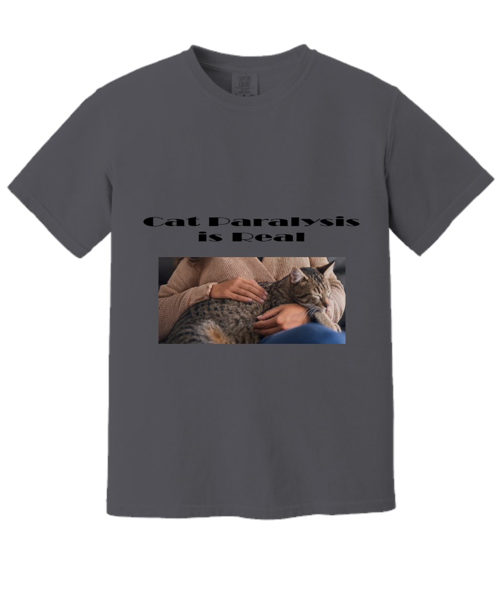 Cat Paralysis Is Real T-Shirt, Gift For A Cat Owner, I Can't Move My Cat