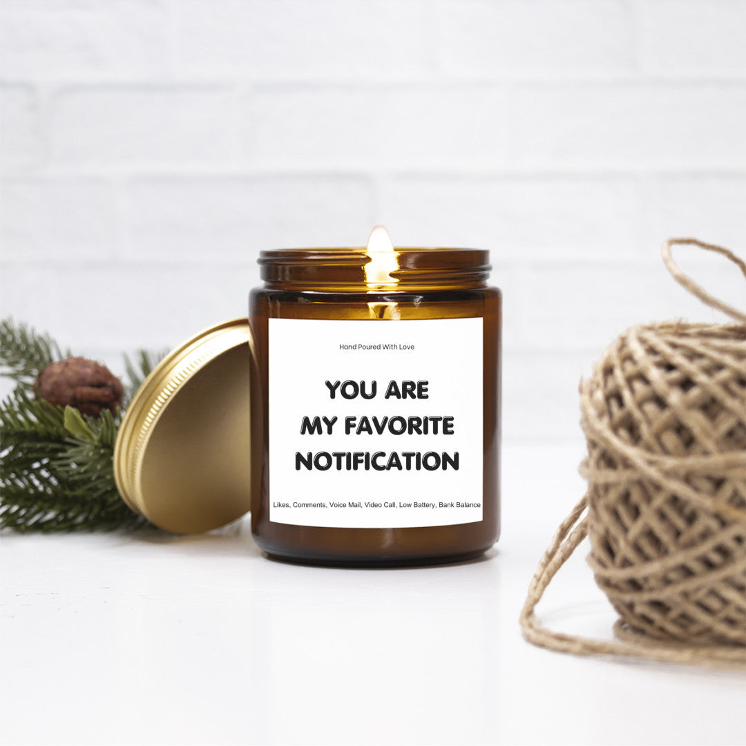 You are my Favorite Notification, Scented Soy Candle, Cheeky Couple Gift, Valentine's Gift, Anniversary Gift, Christmas Gift