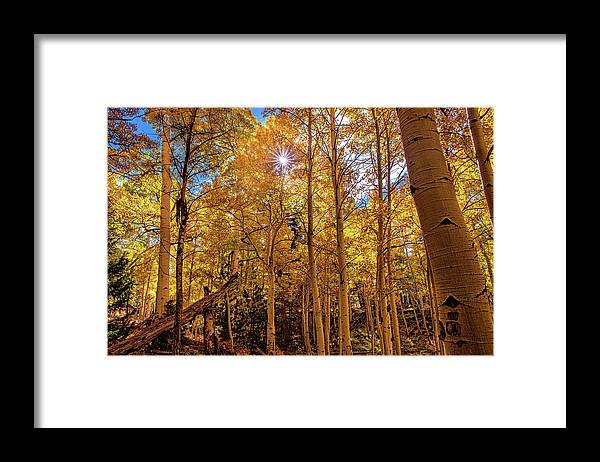 5708 - Framed Print