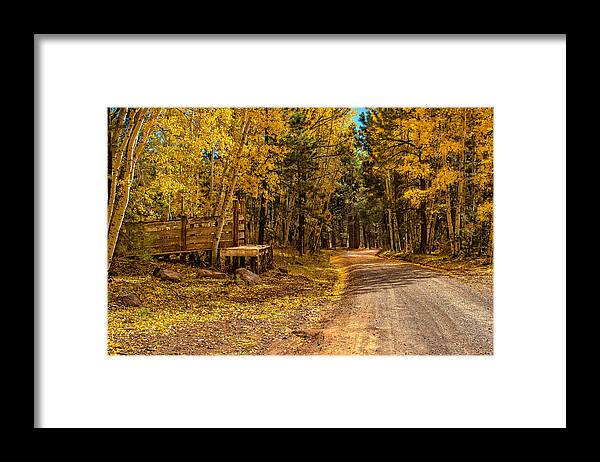 Golden Trail - Framed Print