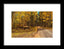 Golden Trail - Framed Print