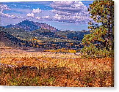 Heavenly Meadow - Canvas Print