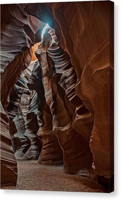 The Ribs - Canvas Print