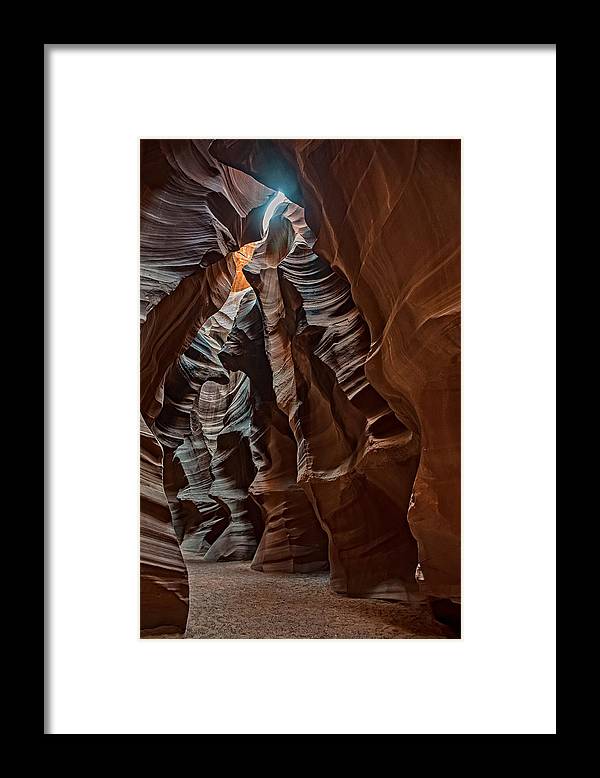 The Ribs - Framed Print